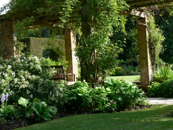 Bois des Moutiers (158) Mai 2012